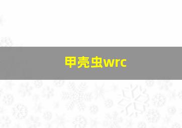 甲壳虫wrc