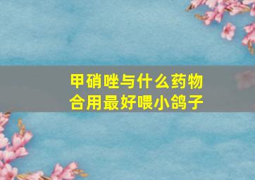 甲硝唑与什么药物合用最好喂小鸽子