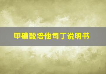 甲磺酸培他司丁说明书