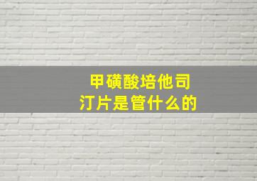 甲磺酸培他司汀片是管什么的