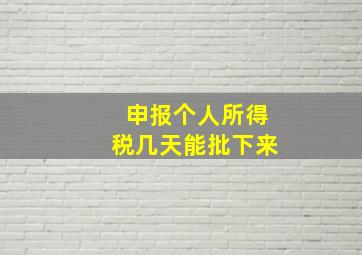 申报个人所得税几天能批下来