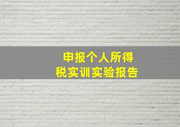 申报个人所得税实训实验报告