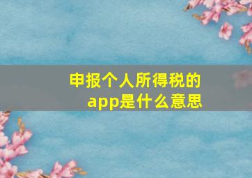 申报个人所得税的app是什么意思