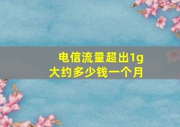 电信流量超出1g大约多少钱一个月