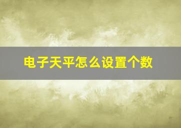 电子天平怎么设置个数