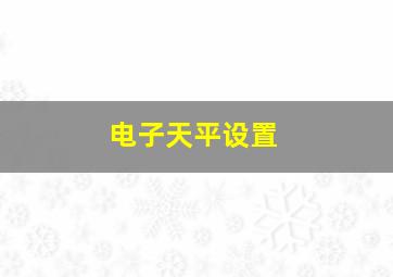 电子天平设置