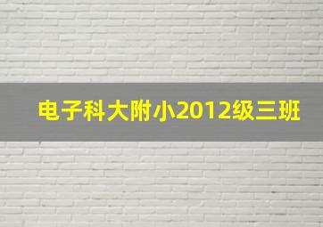 电子科大附小2012级三班