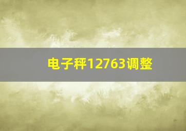 电子秤12763调整