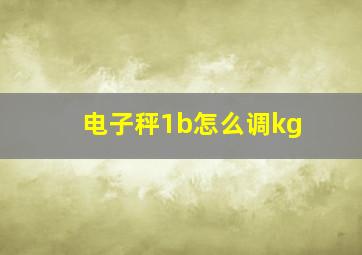 电子秤1b怎么调kg