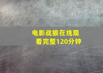 电影战狼在线观看完整120分钟