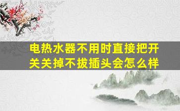 电热水器不用时直接把开关关掉不拔插头会怎么样