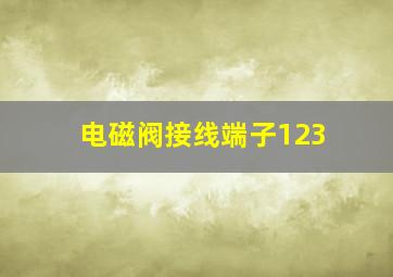 电磁阀接线端子123