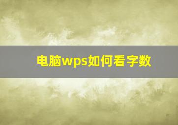 电脑wps如何看字数