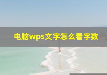 电脑wps文字怎么看字数