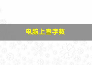 电脑上查字数