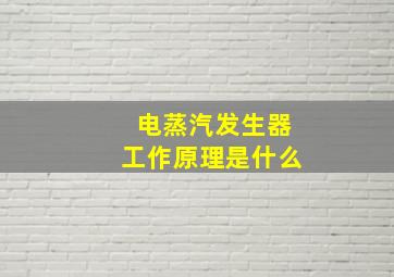 电蒸汽发生器工作原理是什么