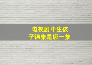 电视剧中生孩子锦集是哪一集