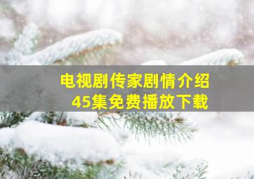 电视剧传家剧情介绍45集免费播放下载