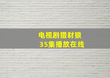 电视剧猎豺狼35集播放在线