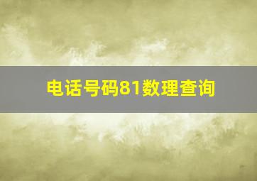 电话号码81数理查询