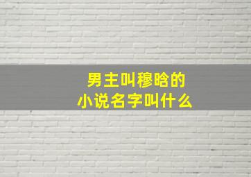 男主叫穆晗的小说名字叫什么