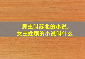 男主叫苏北的小说,女主姓顾的小说叫什么