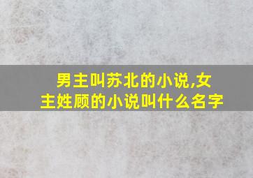 男主叫苏北的小说,女主姓顾的小说叫什么名字