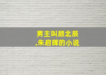 男主叫顾北辰,朱启晖的小说