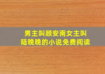 男主叫顾安南女主叫陆晚晚的小说免费阅读