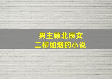 男主顾北辰女二柳如烟的小说