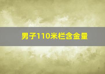 男子110米栏含金量