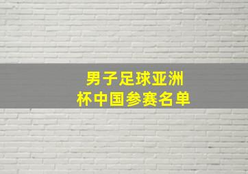 男子足球亚洲杯中国参赛名单