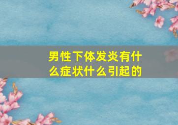 男性下体发炎有什么症状什么引起的