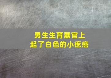 男生生育器官上起了白色的小疙瘩