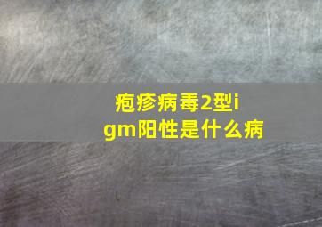 疱疹病毒2型igm阳性是什么病