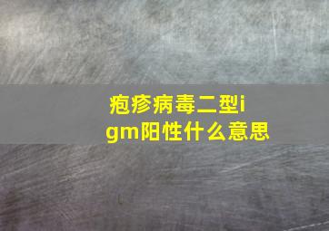 疱疹病毒二型igm阳性什么意思