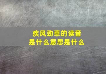 疾风劲草的读音是什么意思是什么