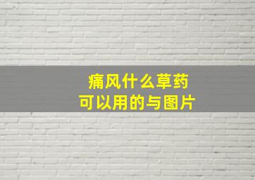 痛风什么草药可以用的与图片