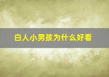 白人小男孩为什么好看