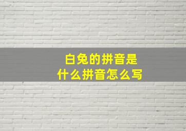 白兔的拼音是什么拼音怎么写