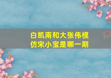 白凯南和大张伟模仿宋小宝是哪一期