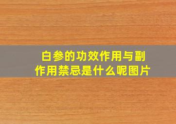 白参的功效作用与副作用禁忌是什么呢图片