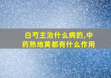 白芍主治什么病的,中药熟地黄都有什么作用