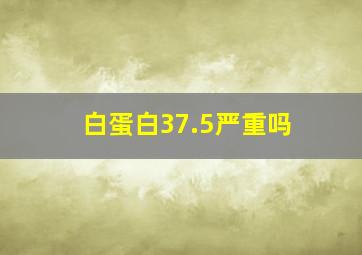 白蛋白37.5严重吗