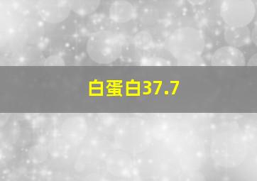 白蛋白37.7