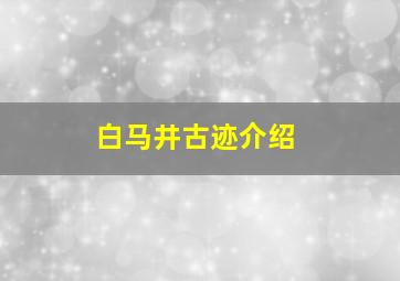 白马井古迹介绍