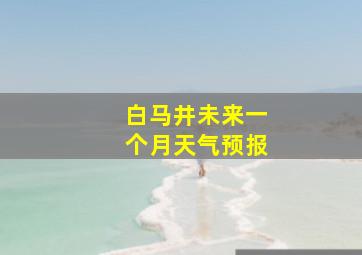 白马井未来一个月天气预报