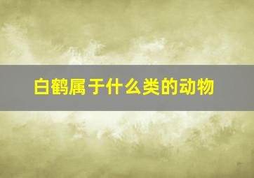 白鹤属于什么类的动物