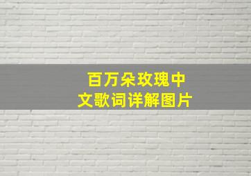 百万朵玫瑰中文歌词详解图片