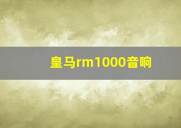 皇马rm1000音响